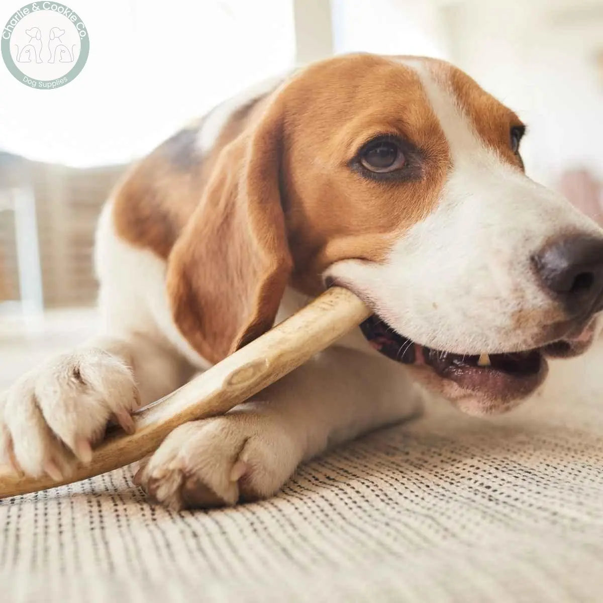 Chews - Charlie & Cookie Co.