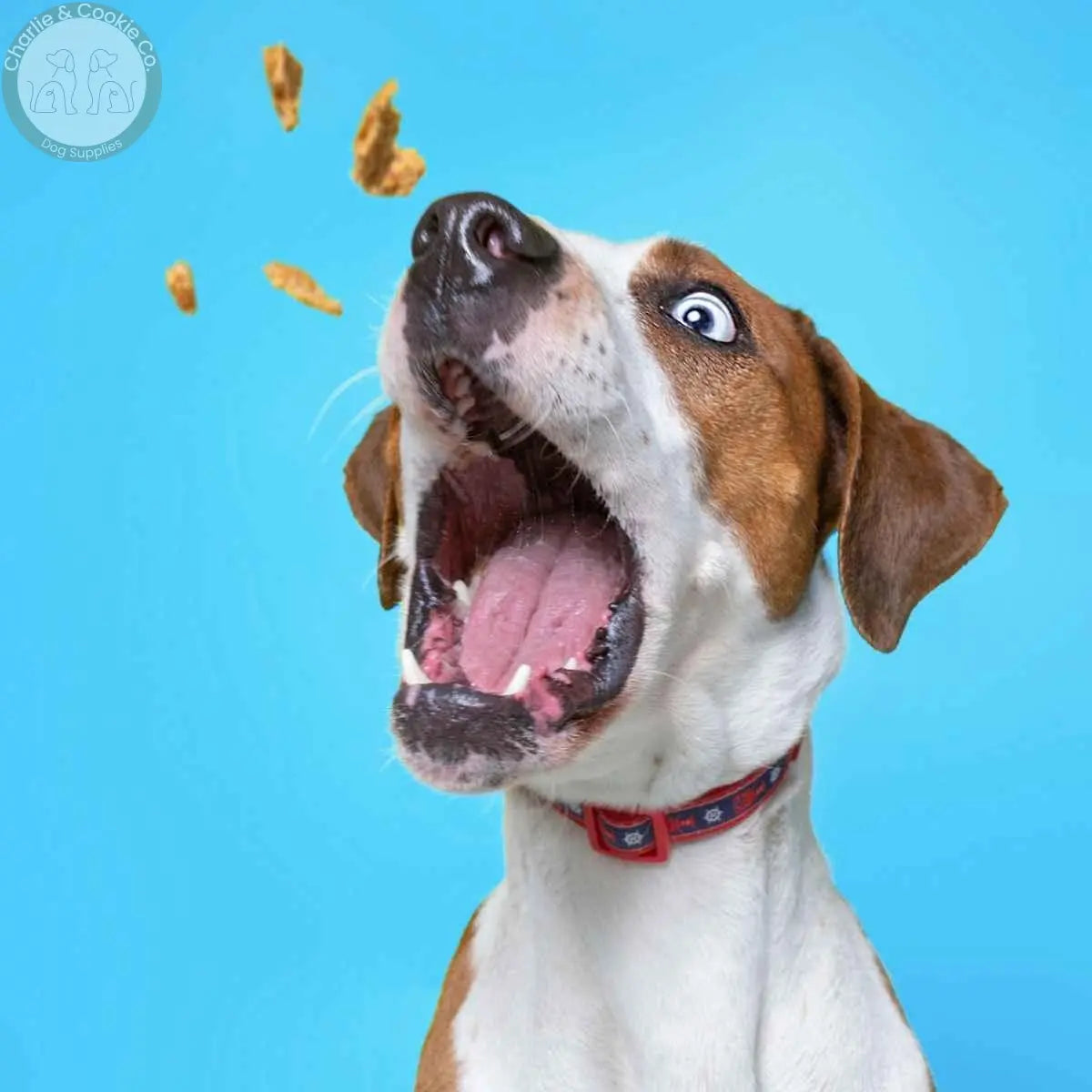 Treats - Charlie & Cookie Co.