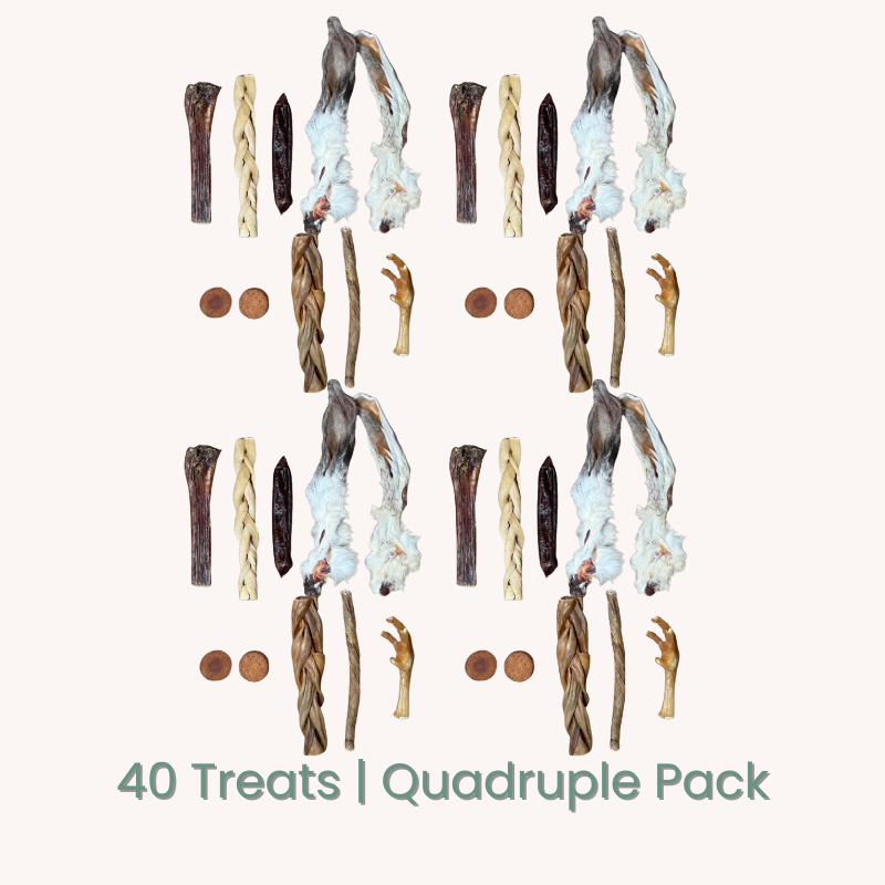 C&C Natural Dog Treat Variety Pack | 10–50 Hand-Picked Natural Chews & Treats