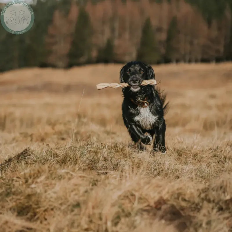 Anco Naturals Beef Skin Rolls & Braids for Dogs | Natural Long-Lasting Chews Medium & Large