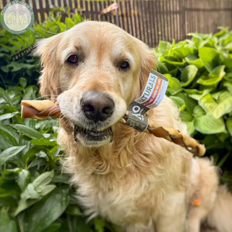 Anco Naturals Beef and Camel Braided Roll dog chew in Medium or Large