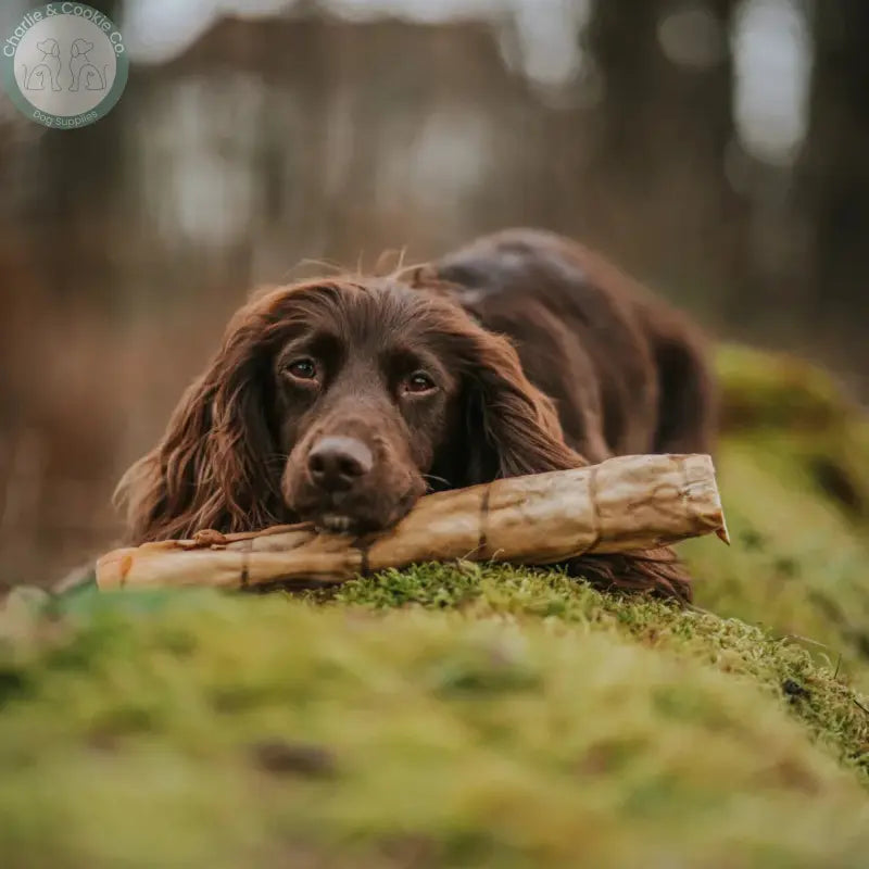 Anco Naturals Goat Rolls & Braids | Natural Dog Chews (Medium & Large)