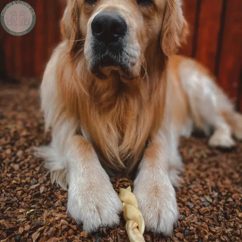 Anco Naturals Lamb Skin Rolls & Braids | Natural Dog Chews (Medium & Large)