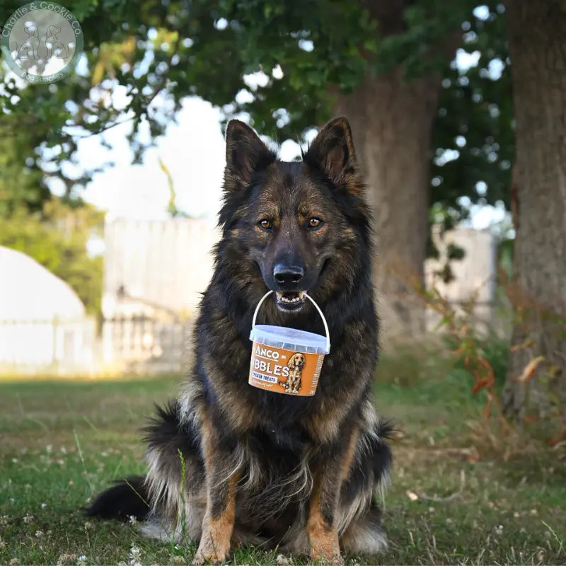 Anco Nibbles Training Treats 300g grain-free dog treats in six protein options