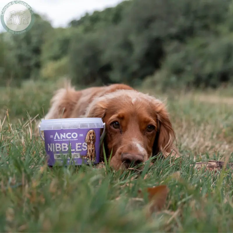 Anco Nibbles Training Treats 300g grain-free dog treats in six protein options