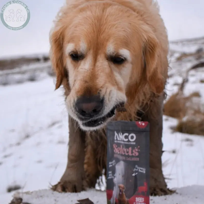 Anco Selects with Collagen 85g | Bites or Strips for Joint, Skin & Digestive Health Anco