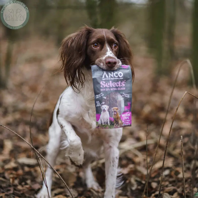 Anco Selects with Collagen 85g | Bites or Strips for Joint, Skin & Digestive Health Anco
