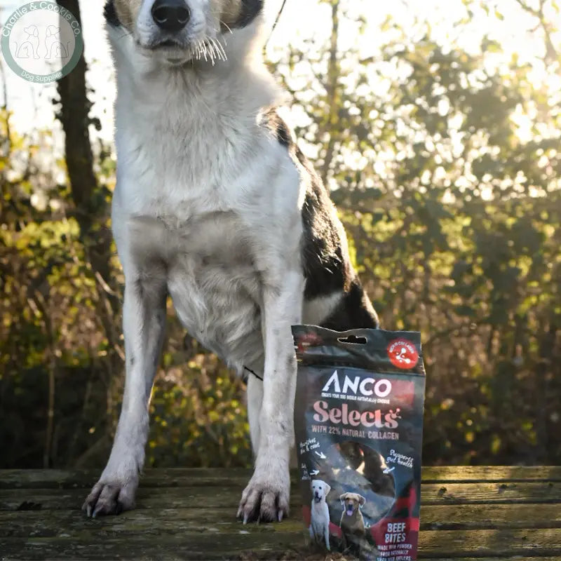 Anco Selects with Collagen 85g | Bites or Strips for Joint, Skin & Digestive Health Anco