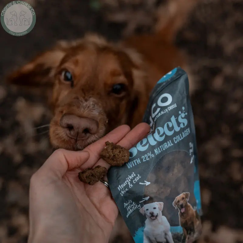 Anco Selects with Collagen 85g | Bites or Strips for Joint, Skin & Digestive Health Anco
