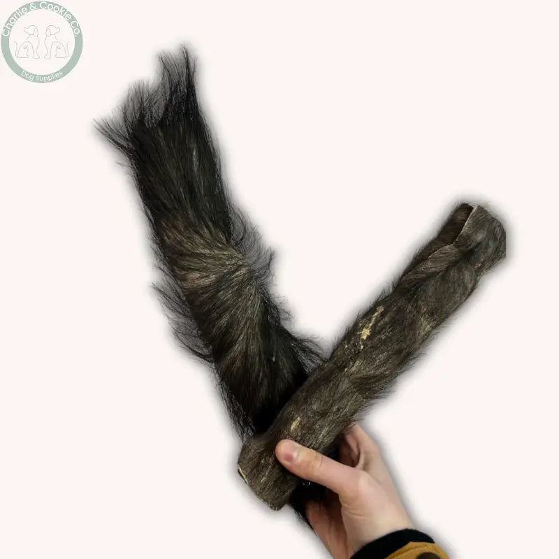 C&C Buffalo Skin Jumbo Roll 9–10” (Single) | Long-Lasting Natural Dog Chew for Power Chewers – Hairless or Hairy Charlie & Cookie Co.