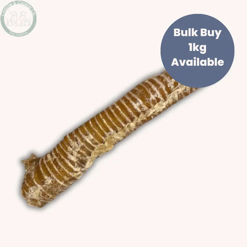 C&C Buffalo Trachea ~30cm - High-Protein, Dental Health Dog Chew Charlie & Cookie Co.