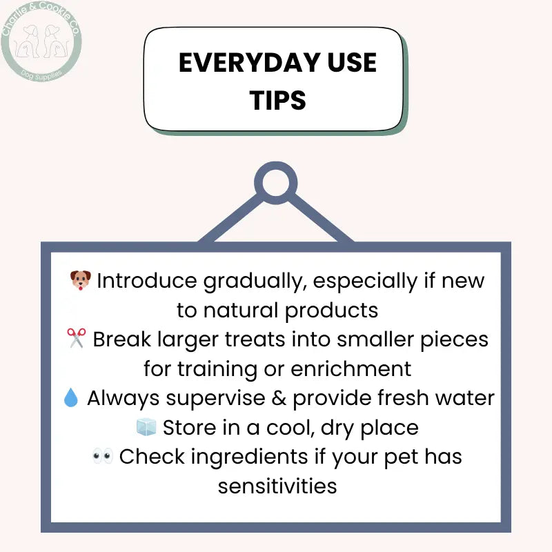 C&C Camel Skin Chews – Roll & Braided Options (Single) | High-Protein Natural Dental Dog Treats Charlie & Cookie Co.