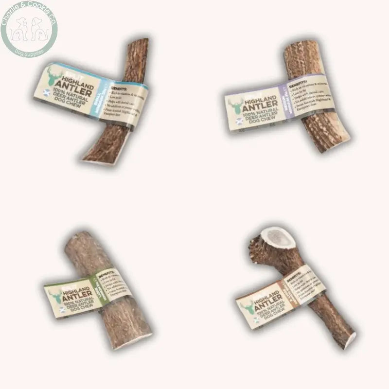 Dental Health Chewer Bundle | Natural Chews & Plaque Support Powder Bundle