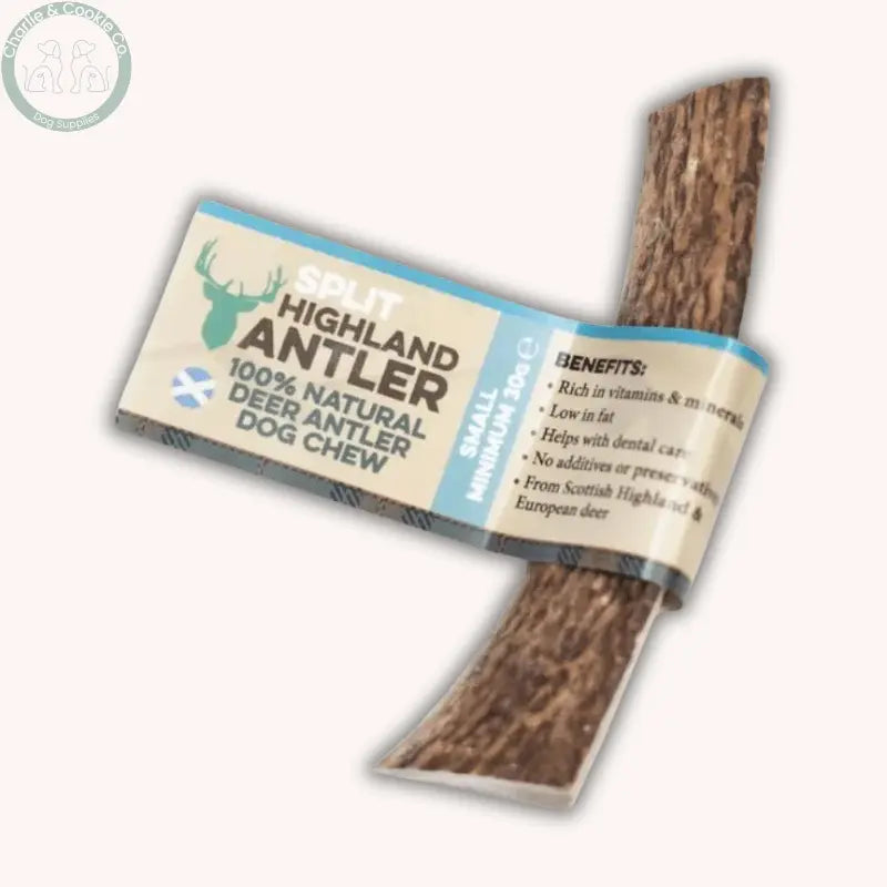 Dental Health Chewer Bundle | Natural Chews & Plaque Support Powder Bundle