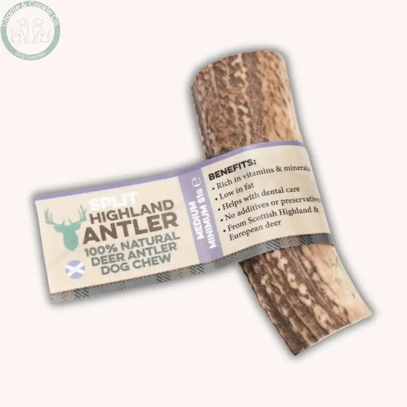 Dental Health Chewer Bundle | Natural Chews & Plaque Support Powder Bundle