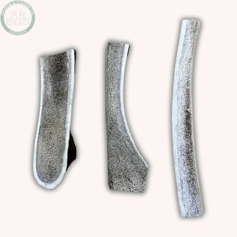Dental Health Chewer Bundle | Natural Chews & Plaque Support Powder Bundle