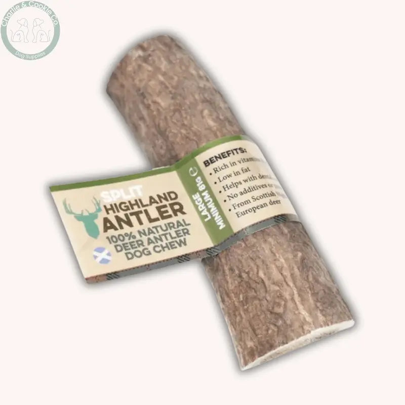 Dental Health Chewer Bundle | Natural Chews & Plaque Support Powder Bundle