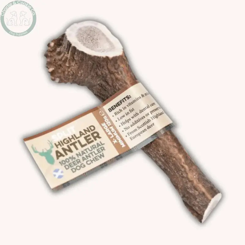 Dental Health Chewer Bundle | Natural Chews & Plaque Support Powder Bundle