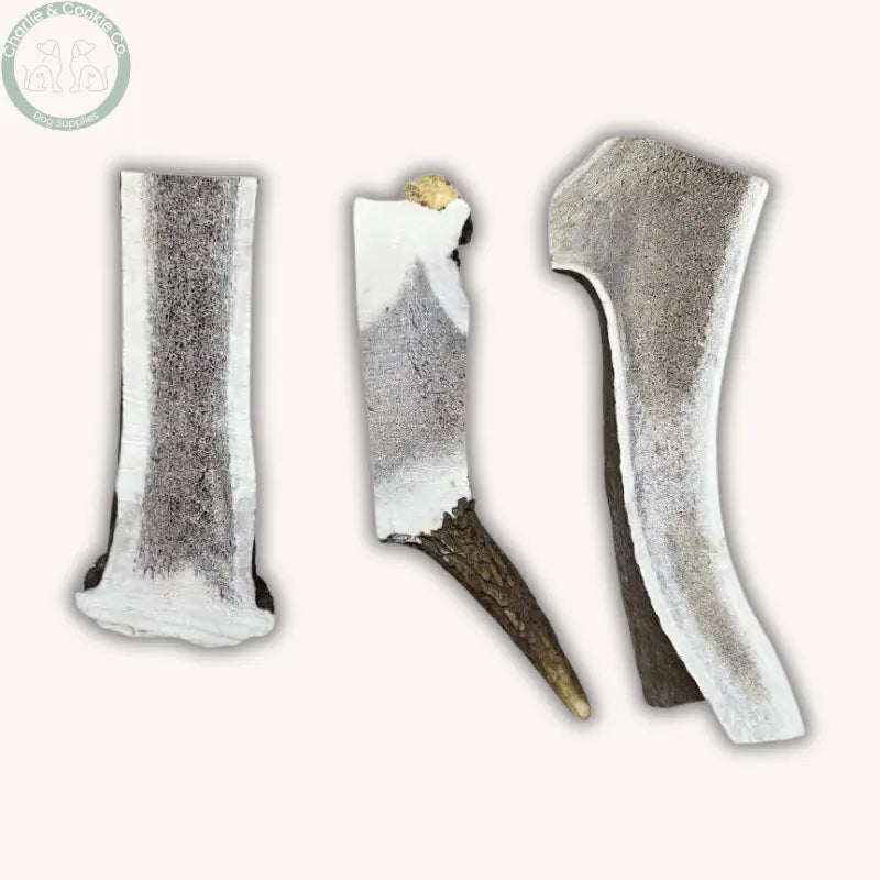 Dental Health Chewer Bundle | Natural Chews & Plaque Support Powder Bundle