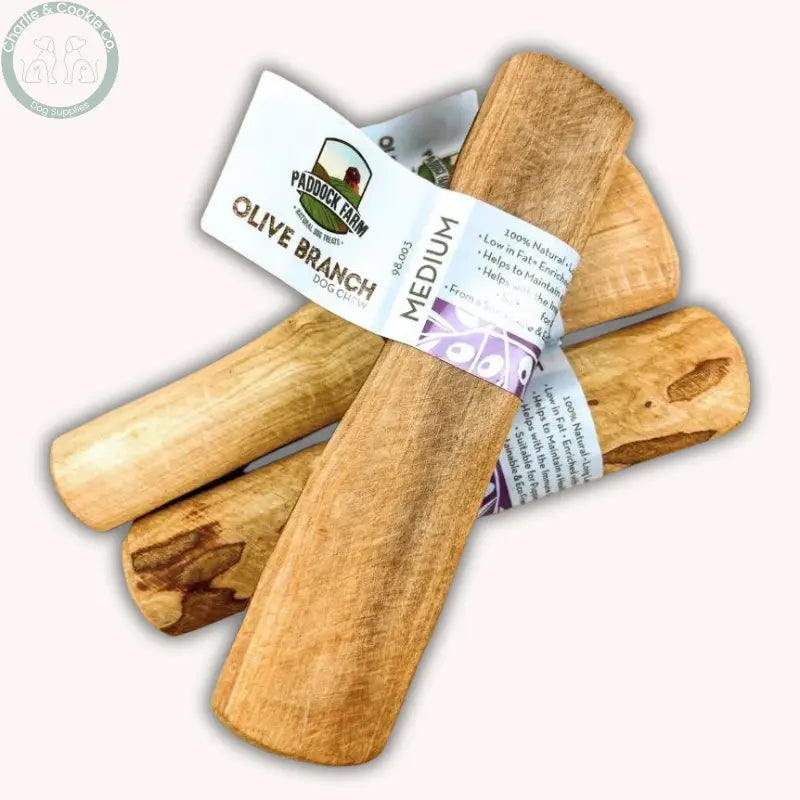 Dental Health Chewer Bundle | Natural Chews & Plaque Support Powder Bundle