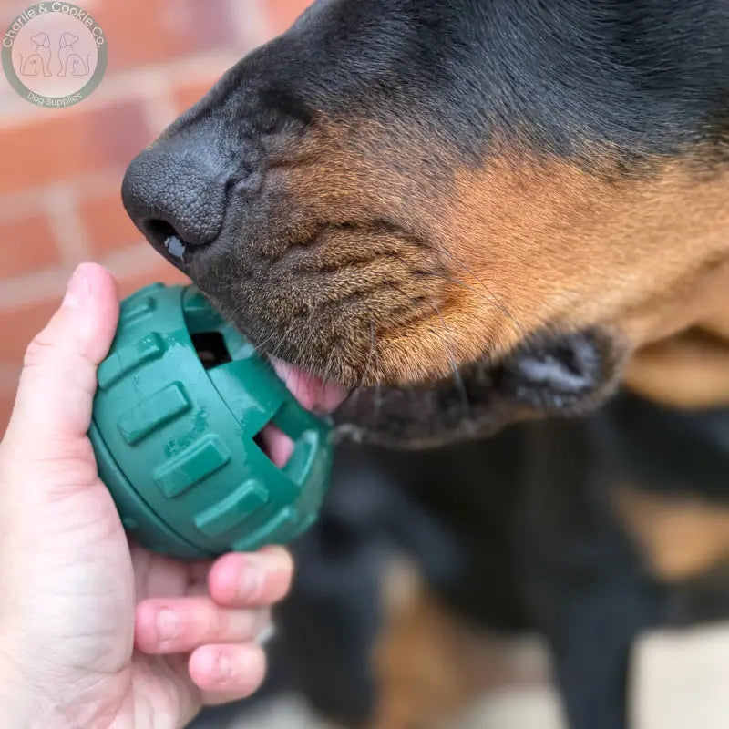 Frodog by Meaty Licks – The Ultimate Frozen Treat Toy for Dogs Apex Pet Products
