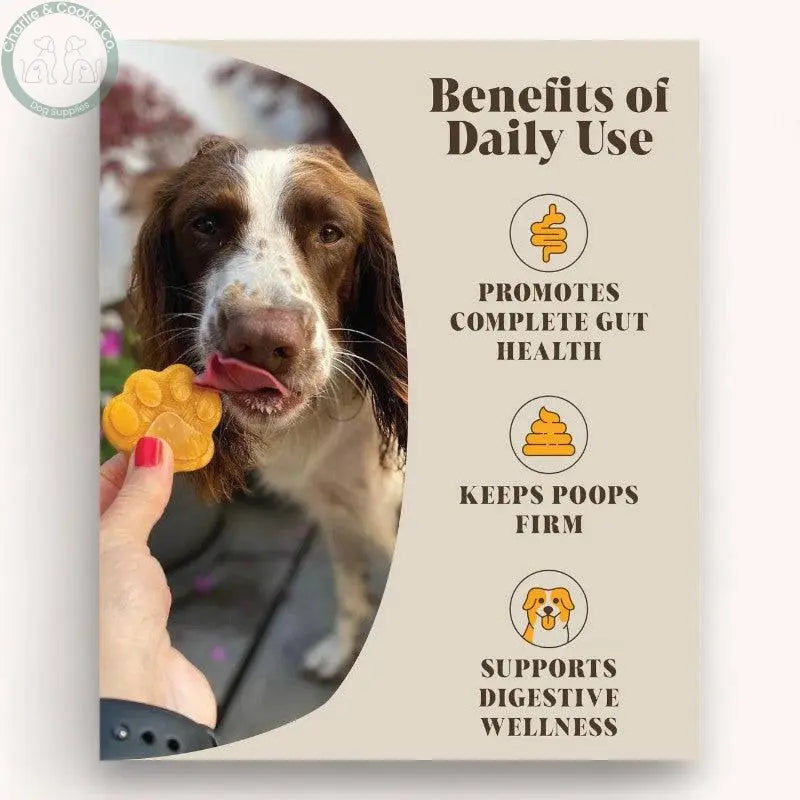 Hackney Dog House Pumpkin And Probiotics for Dogs 225g - Digestive Health & Gut Support - Charlie & Cookie Co.