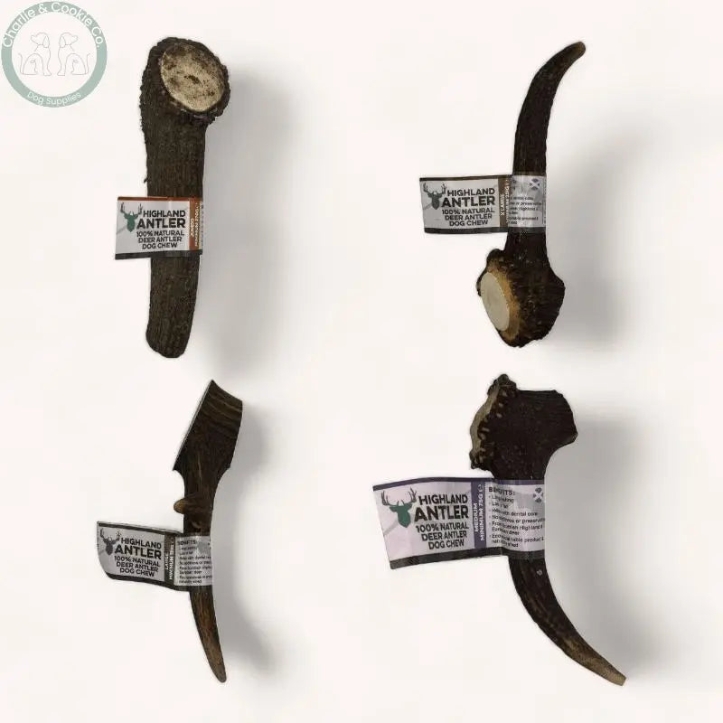 Highland Antler - 5 Weight Options - Nutrient-Rich Dog Chew - Charlie & Cookie Co.