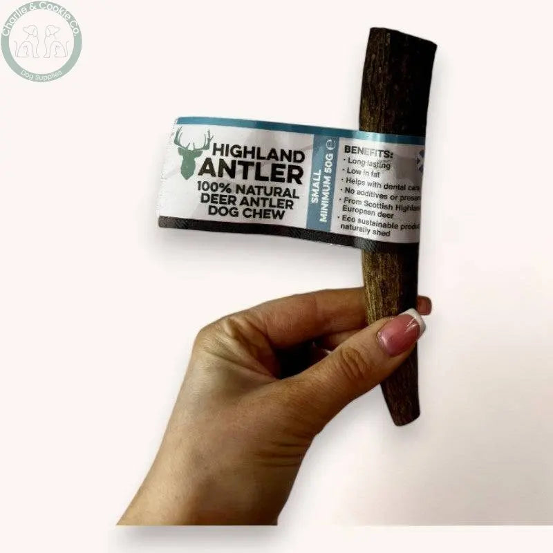 Highland Antler - 5 Weight Options - Nutrient-Rich Dog Chew - Charlie & Cookie Co.