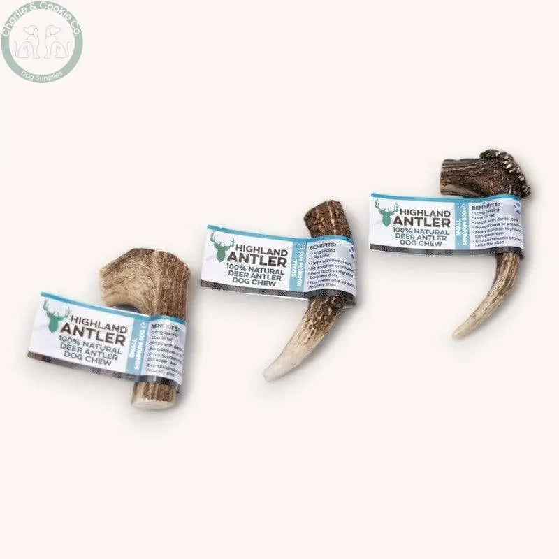 Highland Antler - 5 Weight Options - Nutrient-Rich Dog Chew - Charlie & Cookie Co.