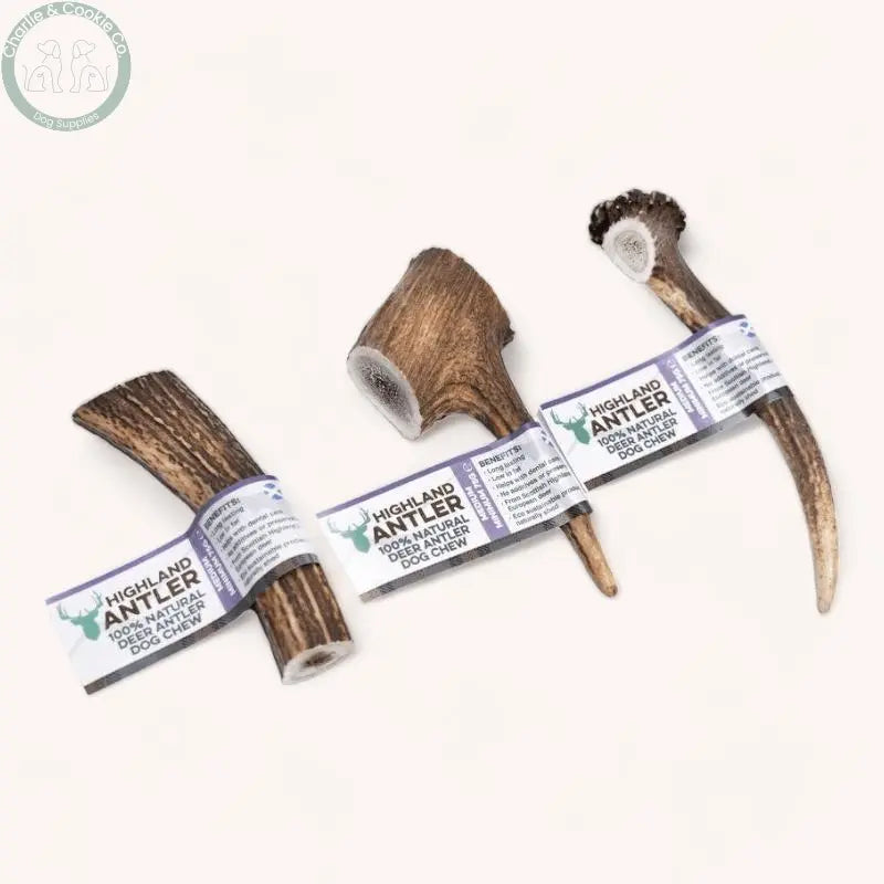 Highland Antler - 5 Weight Options - Nutrient-Rich Dog Chew - Charlie & Cookie Co.