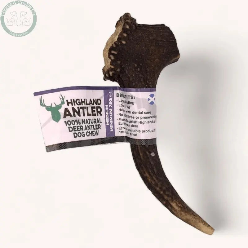 Highland Antler - 5 Weight Options - Nutrient-Rich Dog Chew - Charlie & Cookie Co.