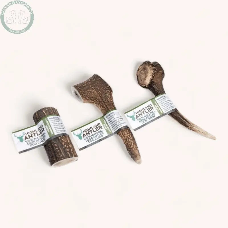 Highland Antler - 5 Weight Options - Nutrient-Rich Dog Chew - Charlie & Cookie Co.