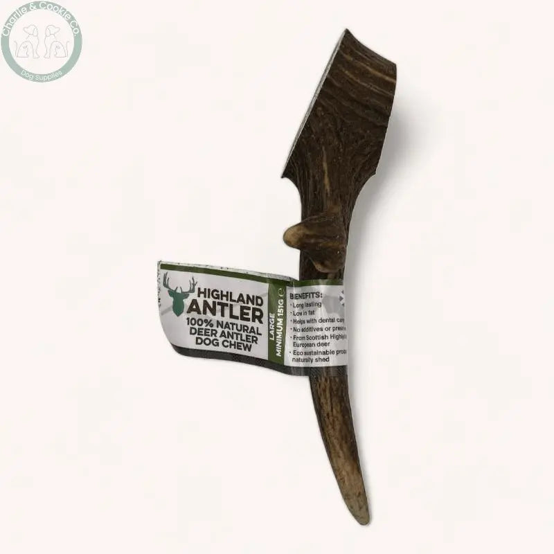 Highland Antler - 5 Weight Options - Nutrient-Rich Dog Chew - Charlie & Cookie Co.