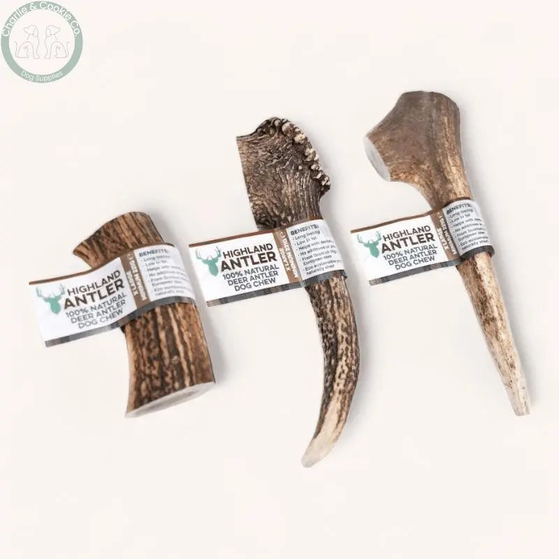 Highland Antler - 5 Weight Options - Nutrient-Rich Dog Chew - Charlie & Cookie Co.