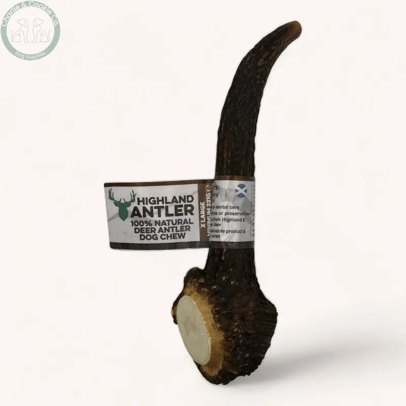 Highland Antler - 5 Weight Options - Nutrient-Rich Dog Chew - Charlie & Cookie Co.