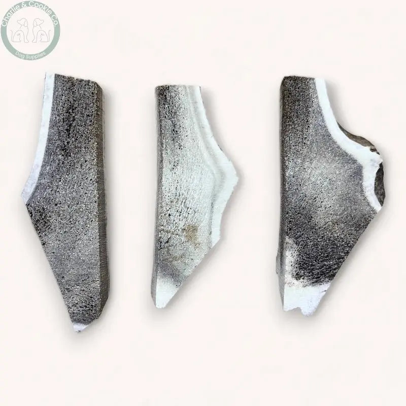 Highland Split Antler - 4 Weight Options - Dental Health Dog Chew - Charlie & Cookie Co.
