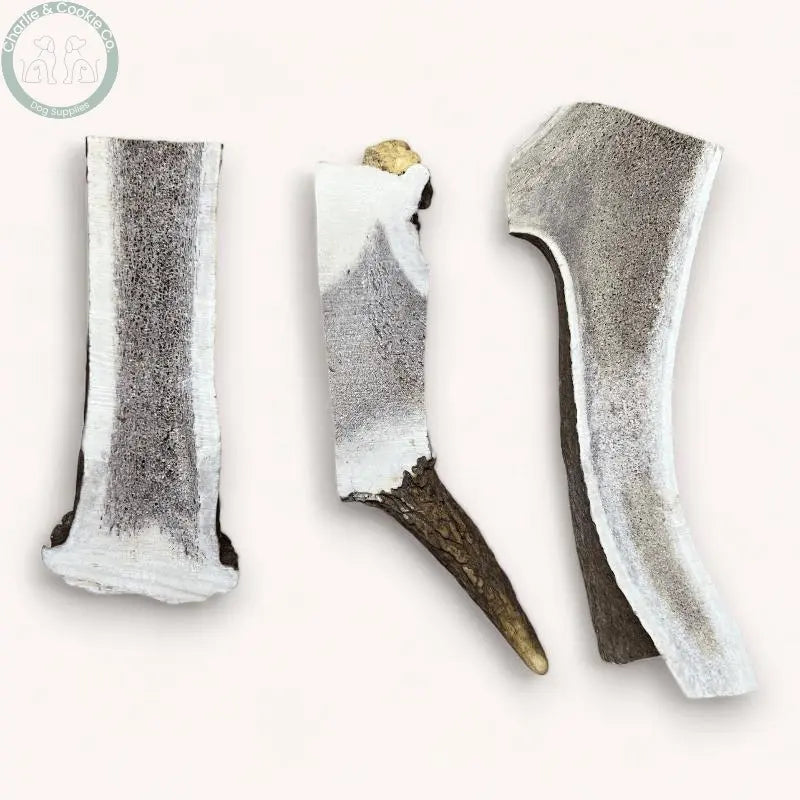 Highland Split Antler - 4 Weight Options - Dental Health Dog Chew - Charlie & Cookie Co.