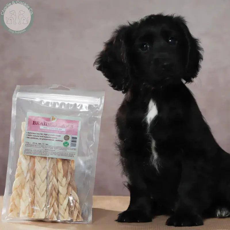 JR Pet Products Braided Lamb Dog Chews | Natural Hypoallergenic Chews (100g Pack or 30cm 4 Pack)