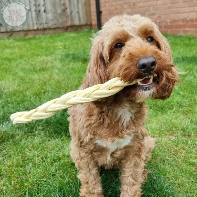 JR Pet Products Braided Lamb Skin Dog Chews 100g or 30cm pack