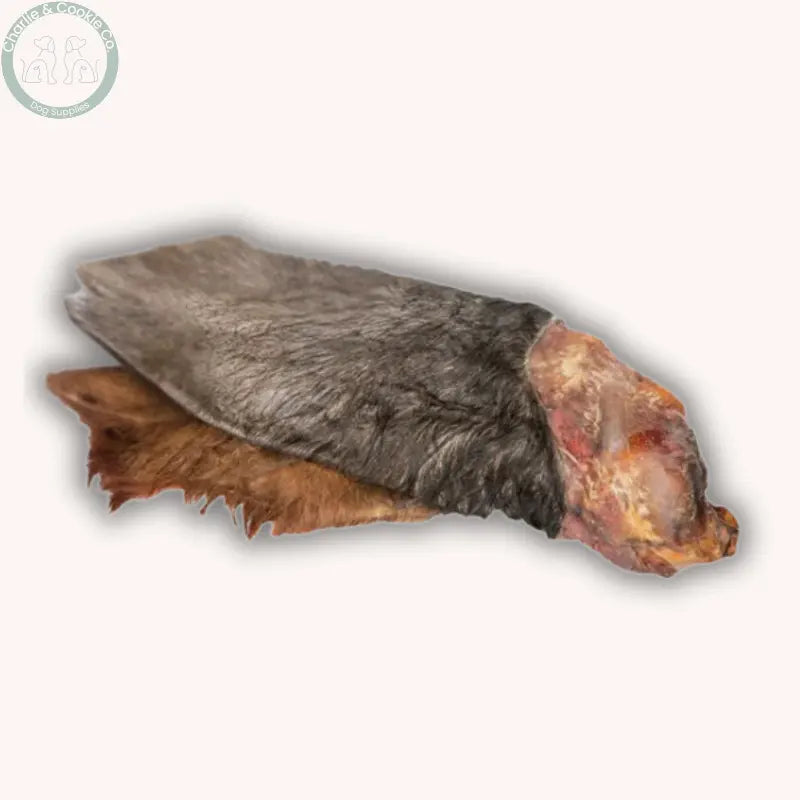 JR Pet Products Cow Ears with Hair for Dogs (Small / Medium) | Natural Chew JR Pet Products