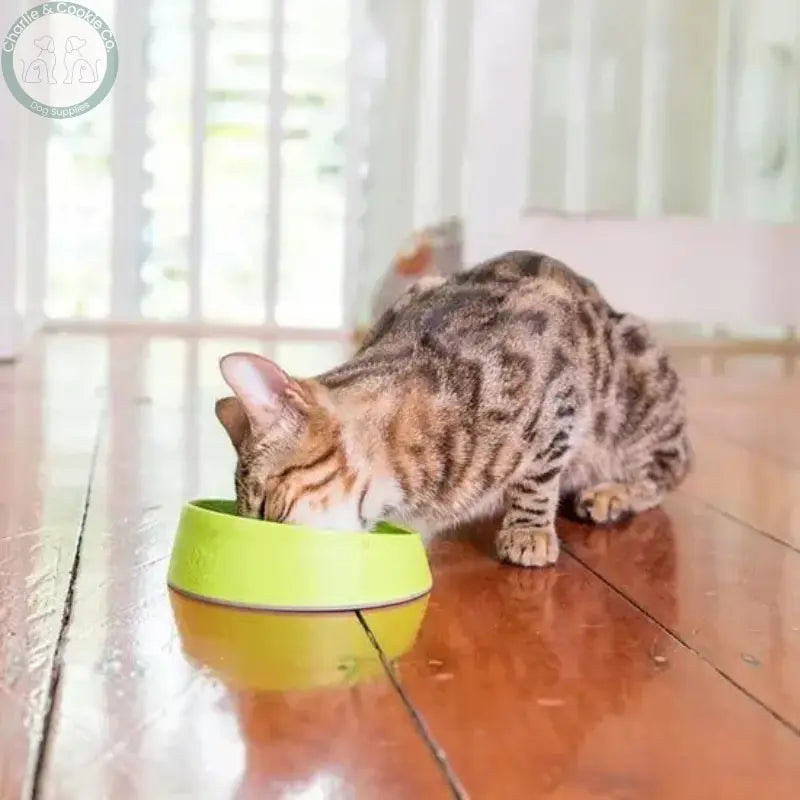 LickiMat OH Bowl for Cats – Oral Health Licking Bowl | Fights Bad Breath & Boredom LickiMat