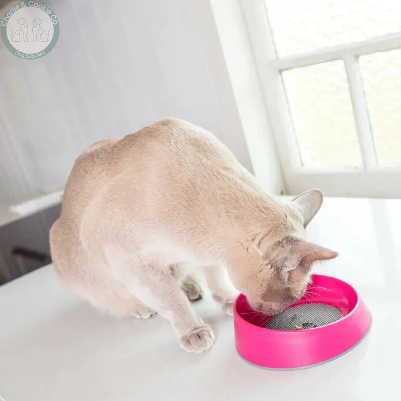LickiMat OH Bowl for Cats – Oral Health Licking Bowl | Fights Bad Breath & Boredom LickiMat