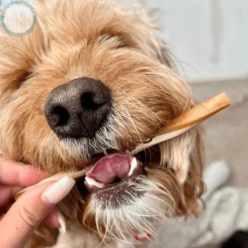 Maks Patch Fruit & Veg Straws (Individual) - Low-Fat & Vegan Dog Treat - Charlie & Cookie Co.