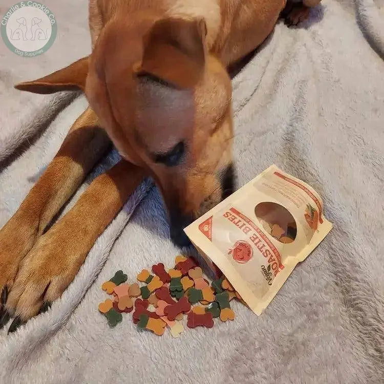 Maks Patch Roastie Bites Dog Training Treats 100g - Low-Fat & Vegan - Charlie & Cookie Co.