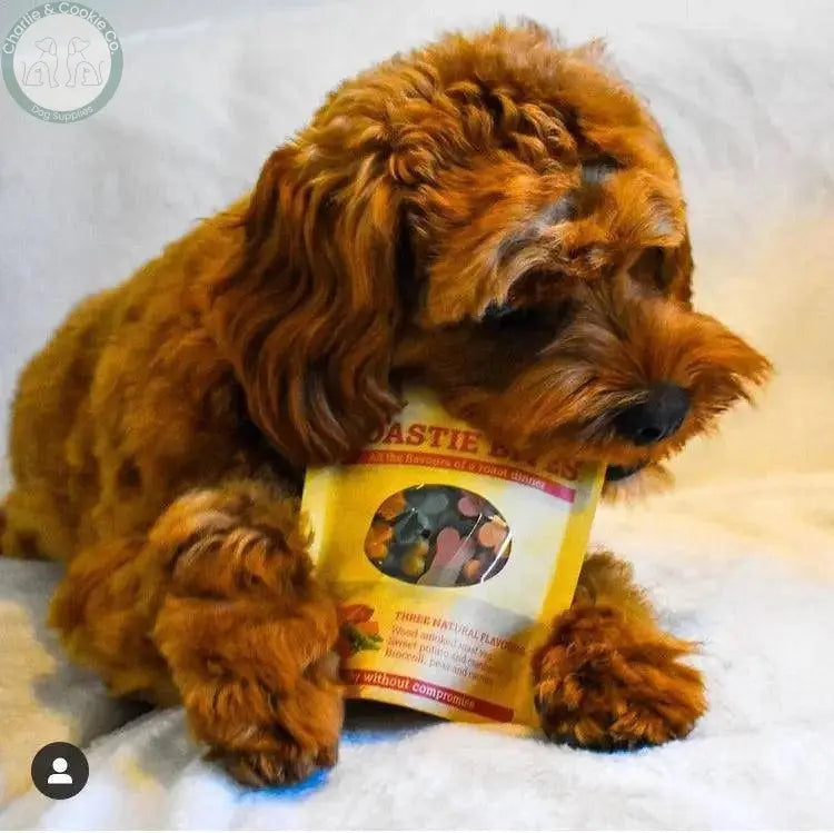 Maks Patch Roastie Bites Dog Training Treats 100g - Low-Fat & Vegan - Charlie & Cookie Co.