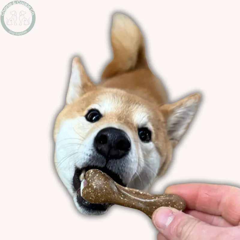 Maks Patch Time For Bed Biscuits (Individual - 7cm) - Vegan, Calming Bedtime Treat for Dogs Miro & Makauri