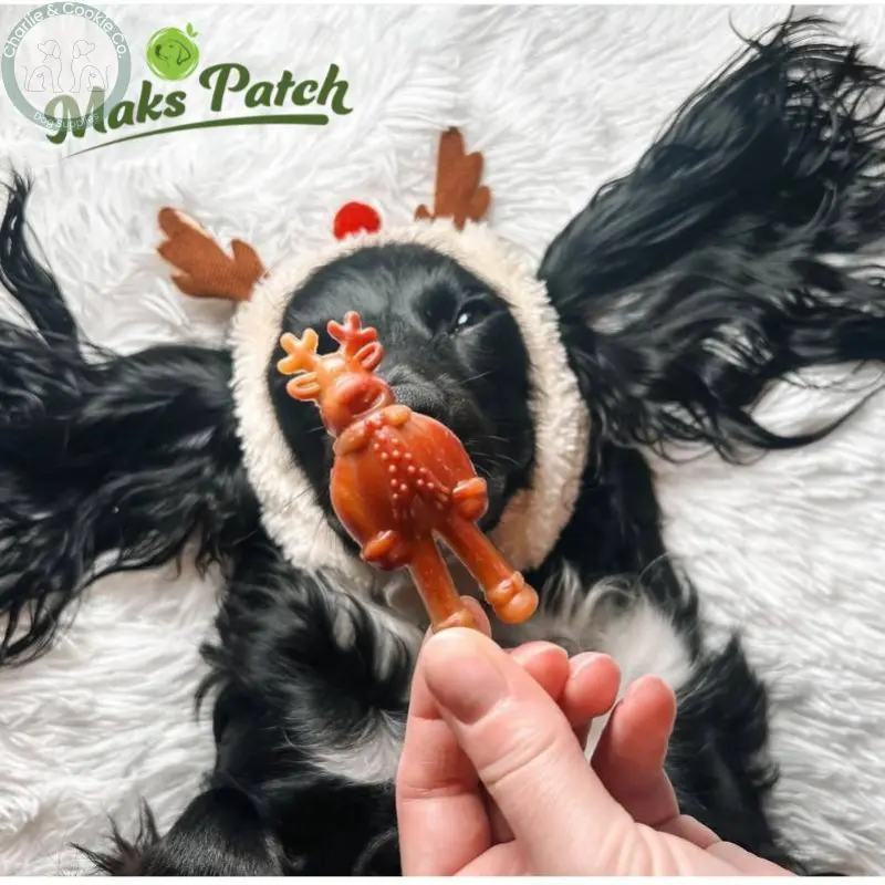 Maks Patch Vegetarian Dog Treats – ‘Ginger & Dasher’ Xmas Treat (Single) | Festive Vegan Dog Treat Miro & Makauri