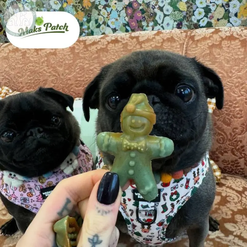 Maks Patch Vegetarian Dog Treats – ‘Ginger & Dasher’ Xmas Treat (Single) | Festive Vegan Dog Treat Miro & Makauri