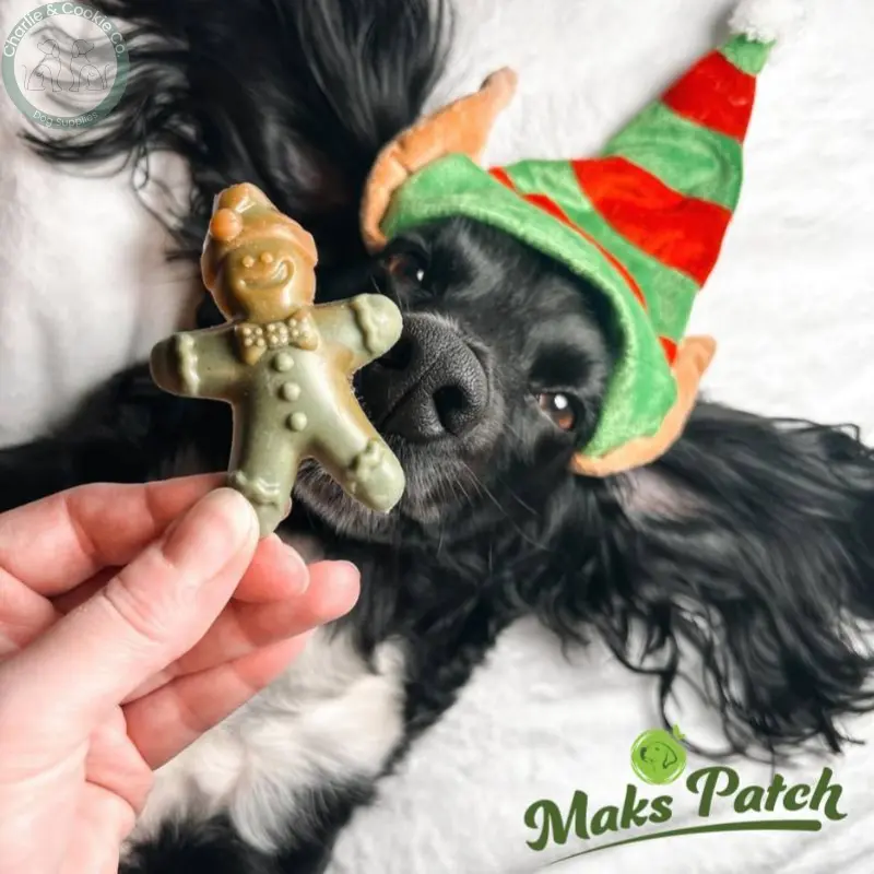 Maks Patch Vegetarian Dog Treats – ‘Ginger & Dasher’ Xmas Treat (Single) | Festive Vegan Dog Treat Miro & Makauri