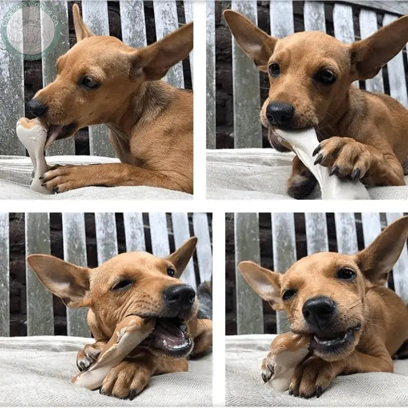 Maks Patch Peanut Butter Dual-Sided Bone (Individual) - 2 Size Options - Low-Fat & Vegan Dog Treat - Charlie & Cookie Co.